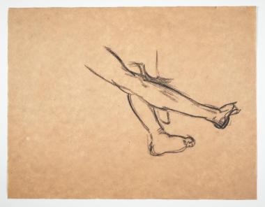 Study of Shins