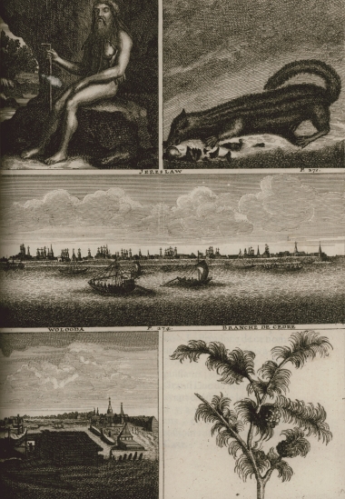 Ρώσος ερημίτης μοναχός - Born Doeskie - Άποψη της πόλης Γιαροσλάβ και της πόλης Βόλογκντα - Κλαδί Κέδρου.