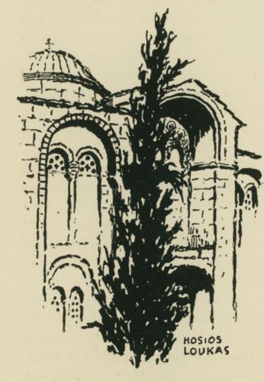 Άποψη της Μονής του Οσίου Λουκά.