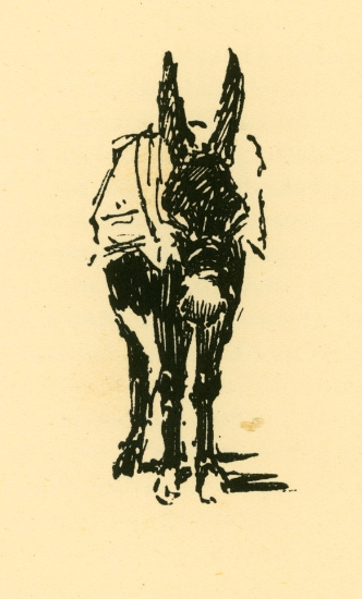 Γαϊδουράκι στη Μάνη.