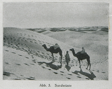 Βραχώδης έρημος. Αμμώδης έρημος.