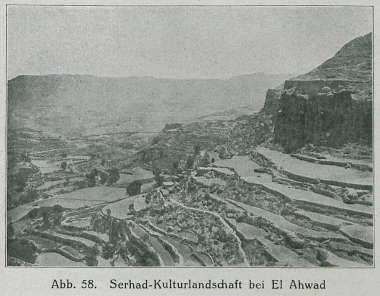 Καλλιέργειες σε αναβαθμίδες στην περιοχή του Αλ Αουάντ της Υεμένης.