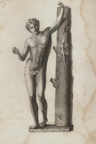 Αντίγραφο του Απόλλωνα Σαυροκτόνου, έργου του Πραξιτέλη, που βρίσκεται στο Μουσείο του Λούβρου.