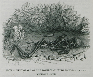 Σκελετός ανθρώπου της παλαιολιθικής εποχής που ανακαλύφθηκε από τον παλαιοντολόγο Émile Rivière στα σπήλαια Balzi Rossi το 1872.