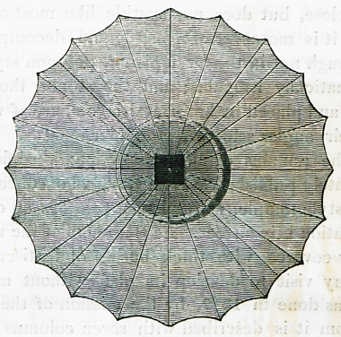 Τομή κίονα από τον Θορικό.