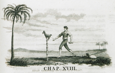 Άραβας χωρικός επιδεικνύει τις ικανότητες μιας κατσίκας.