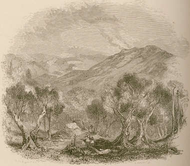 Τοπίο στη Φιγαλεία.