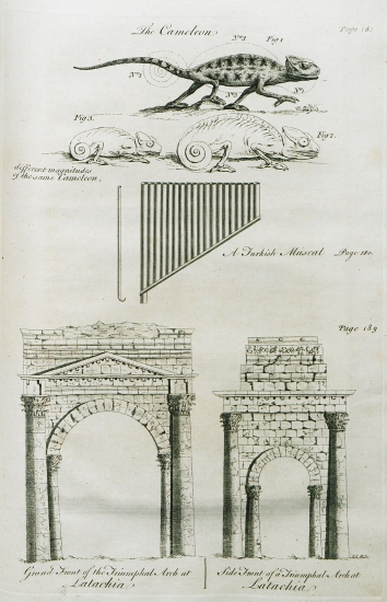 1. Διαφορετικές όψεις χαμαιλέοντα. 2. Αυλός του Πανός από περιοχή της Οθωμανικής Αυτοκρατορίας 3. Πρόσθια όψη του τετράπυλου του Σεπτίμιου Σεβήρου στη Λαοδίκεια την Πάραλο (σήμερα Λατάκια) της Συρίας. 4. Πλαϊνή όψη του τετράπυλου του Σεπτίμιου Σεβήρου στη Λαοδίκεια την Πάραλο.