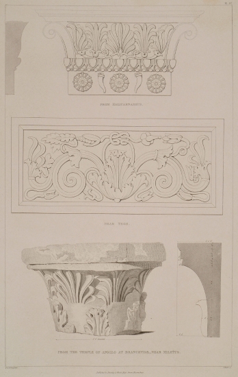 Κιονόκρανα από την Αλικαρνασσό, την Τέω και τον ναό του Απόλλωνα στα Δίδυμα.