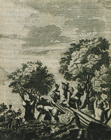 Οι ναυαγοί του Terschelling κατασκευάζουν σχεδία.