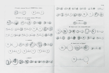 Αρχαία νομίσματα της Κέας.