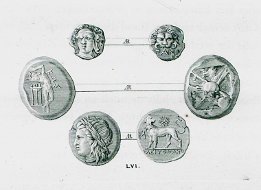 Αρχαία νομίσματα. Πάνω: Νόμισμα από το Παντικάπαιον (σήμερα Κέρτς), στην Ταυρική χερσόνησο στον Εύξεινο πόντο. Μέση: Νόμισμα από την Κω. Κάτω: Νόμισμα από τη Μίλητο.