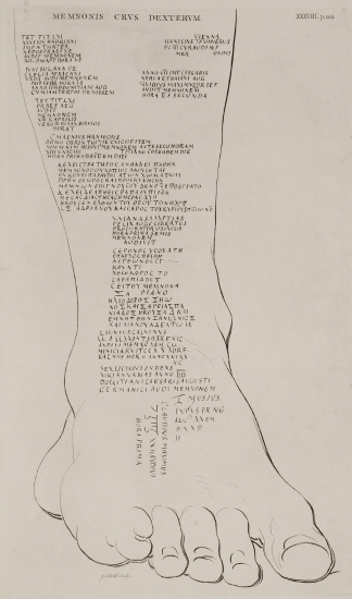 Το δεξί πόδι του ενός από τα κολοσσιαία αγάλματα του Αμένωφι Γ΄ (Κολοσσοί του Μέμνονα), με εγχάρακτες επιγραφές, στις Θήβες της Αιγύπτου.