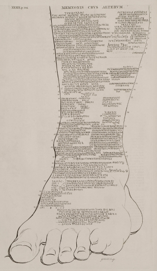 Το αριστερό πόδι του ενός από τα κολοσσιαία αγάλματα του Αμένωφι Γ΄ (Κολοσσοί του Μέμνονα), με εγχάρακτες επιγραφές, στις Θήβες της Αιγύπτου.