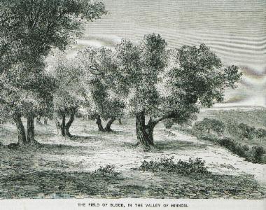 Ο αγρός του αίματος ή αγρός του κεραμέως στην Ιερουσαλήμ.