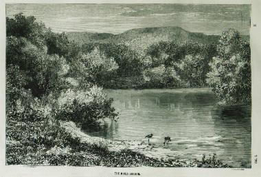 Άποψη του ποταμού Ιορδάνη.