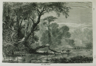 Άποψη του ποταμού Ριόνι, αρχαίου Φάσι, στη Γεωργία.