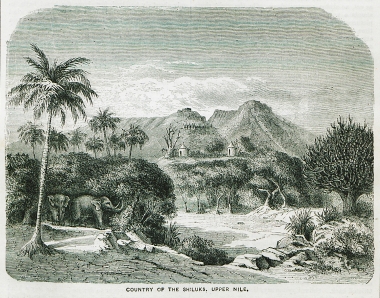 Άποψη της περιοχής των Σιλούκ στο Νότιο Σουδάν.