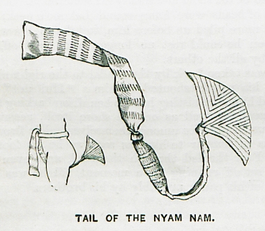 Δερμάτινη ουρά που φορούν τα μέλη της εθνοτικής ομάδας Αζάντε, γνωστής τον 19ο αιώνα ως Νιαμ-Νιαμ, στην Κεντρική Αφρική.