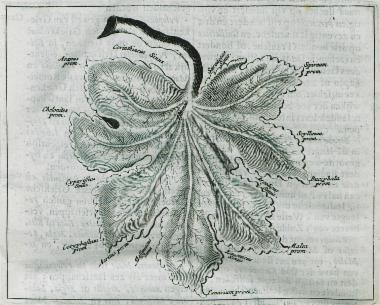 Παράσταση της Πελοποννήσου ως φύλλου μουριάς, όπου σημειώνονται οι σημαντικότεροι κόλποι και ακρωτήρια.