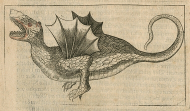 Βαλσαμωμένο ερπετό – υποτιθέμενο «φτερωτό φίδι» – που είδε ο Jacob Breuning στο Κάιρο.