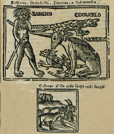 Μπαμπουίνος, κροκόδειλος, μονόκερως και σαλαμάνδρα. Είδος κατσίκας με μακριά αυτιά και κριάρι ή τράγος με μακριά ουρά.