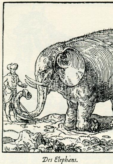 Ελέφαντας.