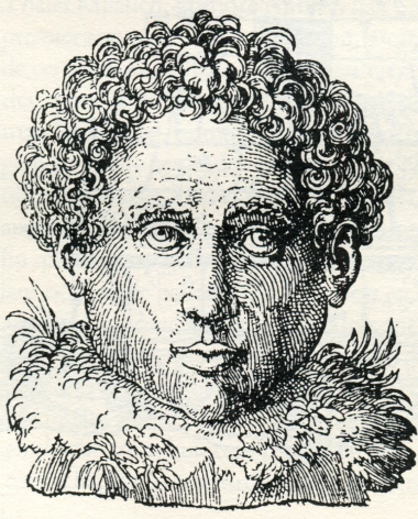 Σχεδιαστική απόδοση του κεφαλιού της Σφίγγας στις Πυραμίδες της Αιγύπτου.