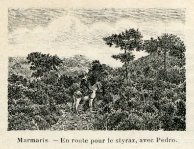 Τοπίο στην περιοχή τoυ Μαρμαρίς στη Μικρά Ασία. Ο συγγραφέας και ο οδηγός του κατευθύνονται προς την περιοχή όπoυ φύεται το δέντρο ζητιά ή λικιδάμβαρη (Liquidambar orientalis) από το οποίο εξάγεται η ρητίνη στυρένιο.
