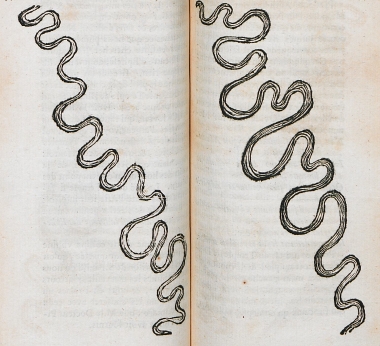 Σχέδιο της κοίτης του ποταμού Καΰστρου (Κιουτσούκ Μεντερές) από την λεγόμενη φυλακή του Αποστόλου Παύλου στην Έφεσο. Σχέδιο της κοίτης του ποταμού Μαιάνδρου, κοντά στη Μίλητο, με βάση σχέδιο του δρ. Πικρελέν (Picrelin).