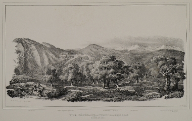 Άποψη του χώρου και του Ναού του Επικουρίου Απόλλωνα στις Βάσσες της Φιγαλείας.