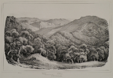 Τοπίο στη Φιγαλεία.