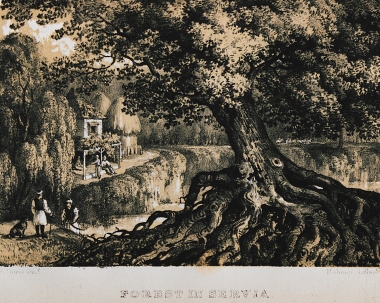 Δάσος στη Σερβία.