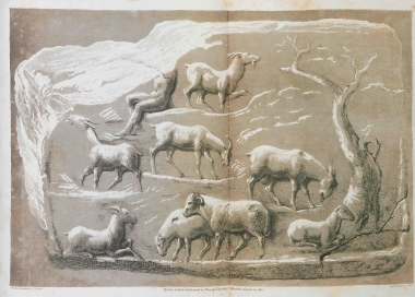 Αφιερωματική στήλη από τη Λυδία στη Μικρά Ασία. Πάνω αριστερά διακρίνεται ο θεός Πάνας.