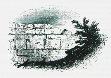 Τμήμα τοιχοδομής, πιθανότατα ρωμαϊκής ή ελληνιστικής περιόδου, στην αρχαία Άπτερα, κοντά στα Χανιά.