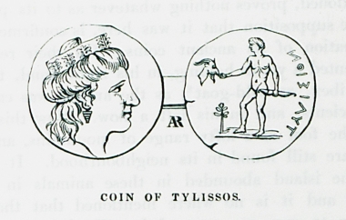 Νομίσματα της αρχαίας Τυλίσου.