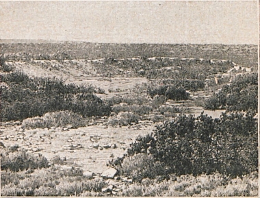 Ο αρχαιολογικός χώρος του Κούριου στην Κύπρο.