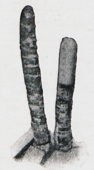 Επισμαλτωμένα κεραμεικά θραύσματα από το Έρζιντζαν.