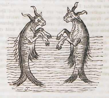 Θαλάσσιες αγελάδες, αρσενική και θηλυκή (φανταστική απεικόνιση).