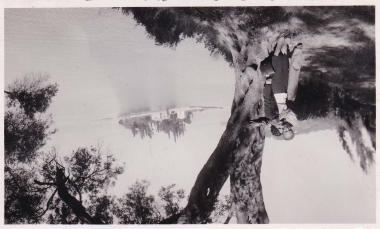 Ζευγάρι με το Ποντικονήσι στο βάθος.