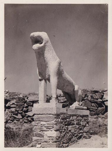 Ένας από τους κολοσσικούς αρχαϊκούς λέοντες, που ήταν παρατατγμένοι κατά μήκος της πομπικής οδού στη Δήλο. Αφιέρωμα των Ναξίων του 7ου αιώνα π.Χ.