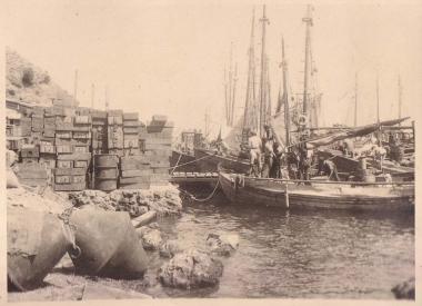 Ψαροκασέλες και ψαρόβαρκες στο λιμάνι της Ραφήνας.