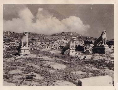 Αρχαιολογικός χώρος Δήλου. Άποψη της πομπικής οδού με τα κολοσσικά αγάλματα των λεόντων, αφιέρωμα των Ναξίων, 7ος αιώνας π.Χ.