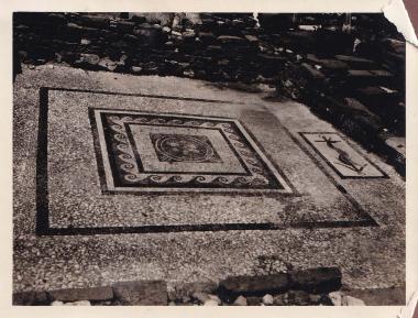 Ψηφιδωτό δάπεδο οικίας από τον αρχαιολογικό χώρο της Δήλου.