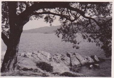 Ακτή στον Πόρο.