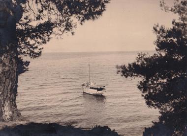 Σκάφος με ιστίο στη θάλασσα της Δάφνης, στην κεντρική Εύβοια.