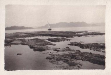 Βάρκα με πανί κοντά σε ακτή της Αίγινας.