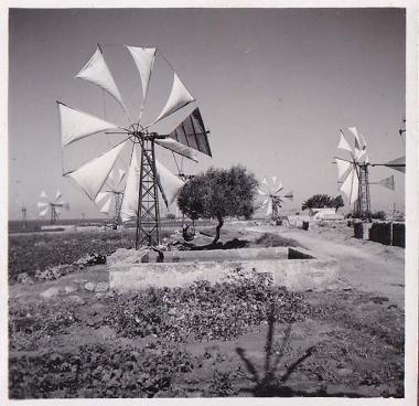 Ανεμόμυλοι στο οροπέδιο του Λασιθίου, που εγκαταστάθηκαν την περίοδο 1910-1950 και χρησιμοποιήθηκαν για την άρδευσή του.
