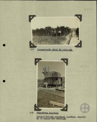 Experimental garden at Pethelinos.