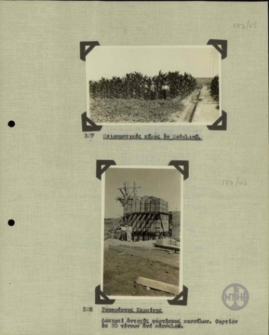 Torrent Barrage at Kerkini. Endurance trials of stakes sustaining weight.A cargo of 30 tons per stake.